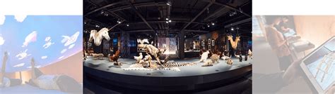 About CityU Exhibition Gallery .